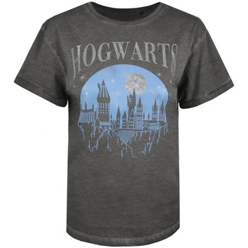 Textiel Dames T-shirts met lange mouwen Harry Potter  Grijs