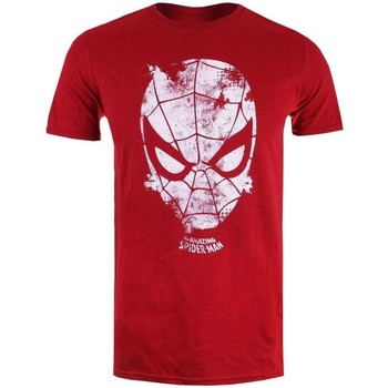 Textiel Heren T-shirts met lange mouwen Marvel  Rood