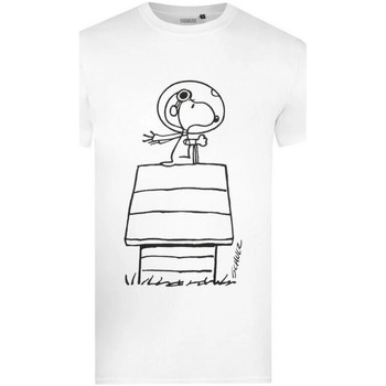 Textiel Heren T-shirts met lange mouwen Peanuts  Wit