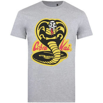 Textiel Heren T-shirts met lange mouwen Cobra Kai  Grijs