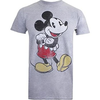 Textiel Heren T-shirts met lange mouwen Disney  Grijs