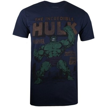 Textiel Heren T-shirts met lange mouwen Hulk  Blauw