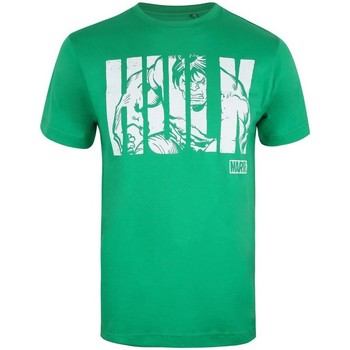 Textiel Heren T-shirts met lange mouwen Hulk  Groen