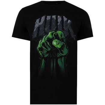 Textiel Heren T-shirts met lange mouwen Hulk  Zwart