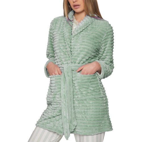 Textiel Dames Pyjama's / nachthemden Admas Badjas Winter Paisley Groen