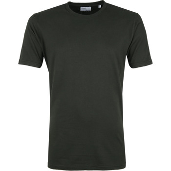 Textiel Heren T-shirts & Polo’s Colorful Standard Organic T-shirt Donkergroen Groen