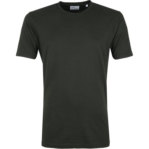 Textiel Heren T-shirts & Polo’s Colorful Standard Organic T-shirt Donkergroen Groen