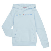 Textiel Kinderen Sweaters / Sweatshirts Tommy Hilfiger U ESSENTIAL HOODIE Blauw