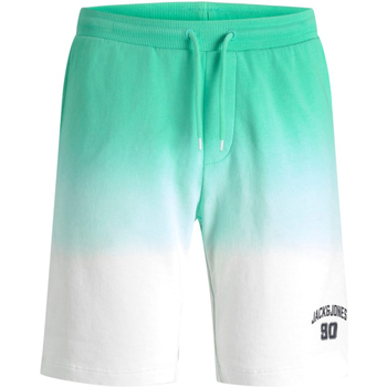 Textiel Jongens Korte broeken / Bermuda's Jack & Jones 12220422 JPSTAIRDIP SWEAT SHORT JNR BISCAY GREEN Groen