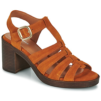 Schoenen Dames Sandalen / Open schoenen Adige RUBIS Bruin