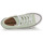 Schoenen Dames Hoge sneakers Converse CHUCK TAYLOR ALL STAR LIFT PLATFORM SEASONAL COLOR-SUMMIT SAGE/W Groen