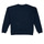 Textiel Jongens Sweaters / Sweatshirts Kaporal PASCO ESSENTIEL Marine