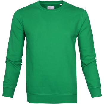 Textiel Heren Sweaters / Sweatshirts Colorful Standard Sweater Kelly Green Groen