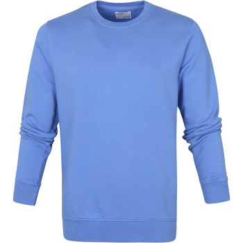 Textiel Heren Sweaters / Sweatshirts Colorful Standard Sweater Sky Blue Blauw