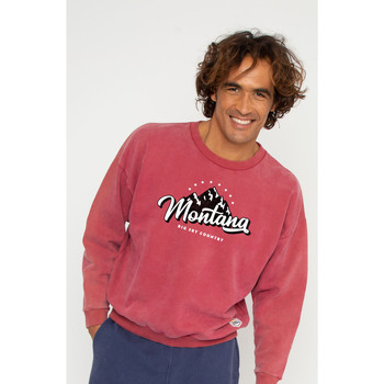 Textiel Heren Sweaters / Sweatshirts French Disorder Sweatshirt  Brady Washed Montana Rood