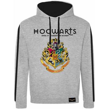 Textiel Sweaters / Sweatshirts Harry Potter  Zwart