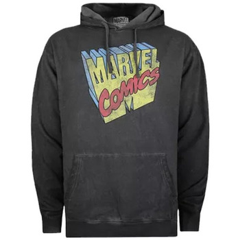 Textiel Heren Sweaters / Sweatshirts Marvel  Zwart