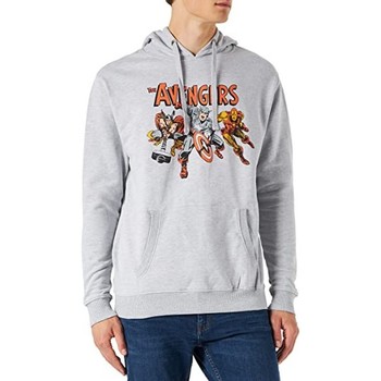 Textiel Heren Sweaters / Sweatshirts Avengers  Grijs