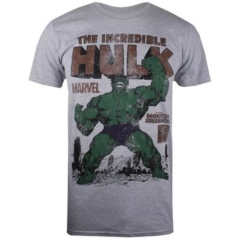 Textiel Heren T-shirts met lange mouwen Hulk  Grijs