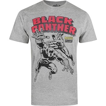 Textiel Heren T-shirts met lange mouwen Black Panther  Grijs
