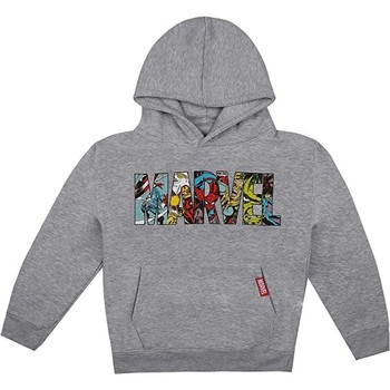 Textiel Jongens Sweaters / Sweatshirts Marvel  Grijs