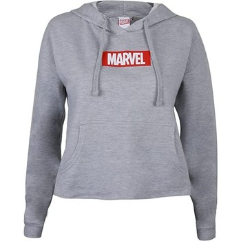 Textiel Dames Sweaters / Sweatshirts Marvel  Grijs