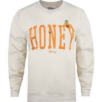 Textiel Dames Sweaters / Sweatshirts Dessins Animés  Oranje