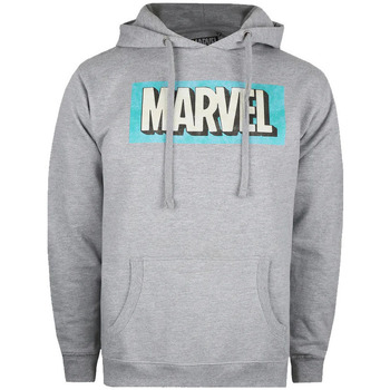 Textiel Heren Sweaters / Sweatshirts Marvel  Grijs