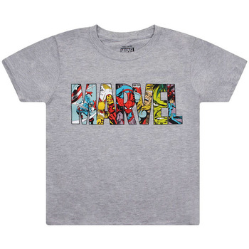 Textiel Jongens T-shirts korte mouwen Marvel  Grijs