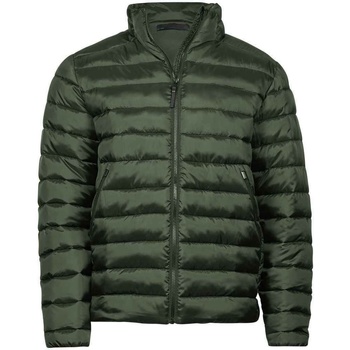 Textiel Heren Wind jackets Tee Jays  Groen