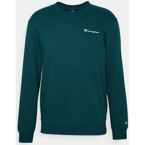 Textiel Jongens Sweaters / Sweatshirts Champion  Groen