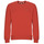 Textiel Heren Sweaters / Sweatshirts Levi's NEW ORIGINAL CREW Rood