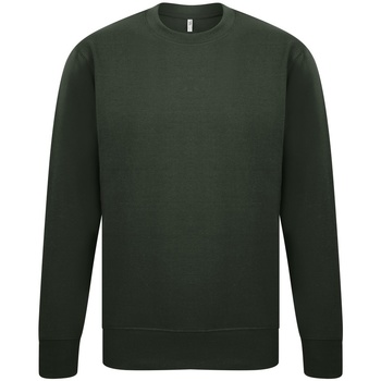 Textiel Heren Sweaters / Sweatshirts Casual Classics  Groen