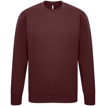 Textiel Heren Sweaters / Sweatshirts Casual Classics  Multicolour