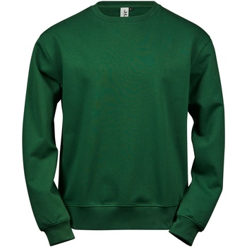 Textiel Heren Sweaters / Sweatshirts Tee Jays TJ5100 Groen