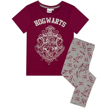 Textiel Meisjes Pyjama's / nachthemden Harry Potter  Multicolour