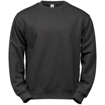 Textiel Heren Sweaters / Sweatshirts Tee Jays  Grijs