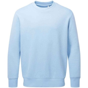 Textiel Sweaters / Sweatshirts Anthem AM20 Blauw