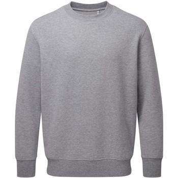 Textiel Sweaters / Sweatshirts Anthem AM20 Grijs
