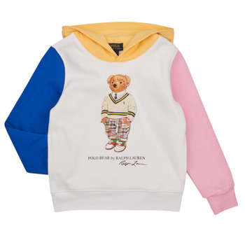 Textiel Jongens Sweaters / Sweatshirts Polo Ralph Lauren LSPO HOOD M7-KNIT SHIRTS-SWEATSHIRT Multicolour