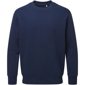 Textiel Sweaters / Sweatshirts Anthem  Blauw