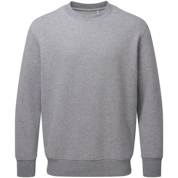 Textiel Sweaters / Sweatshirts Anthem AM020 Grijs