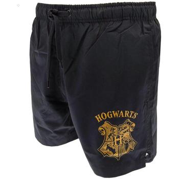 Textiel Heren Korte broeken / Bermuda's Harry Potter  Blauw