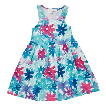 Textiel Meisjes Korte jurken Desigual VEST_INGRID Blauw / Roze