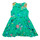 Textiel Meisjes Korte jurken Desigual VEST_GARDENIA Multicolour