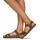 Schoenen Sandalen / Open schoenen El Naturalista BALANCE Bruin