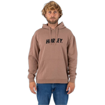 Textiel Heren Sweaters / Sweatshirts Hurley Sweatshirt à capuche  Fastlane Solid Bruin