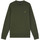 Textiel Heren Sweaters / Sweatshirts Lyle And Scott Crew neck sweatshirt Groen
