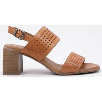 Schoenen Dames Sandalen / Open schoenen Sandra Fontan LUGANO Bruin