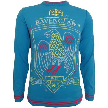 Textiel Sweaters / Sweatshirts Harry Potter  Multicolour